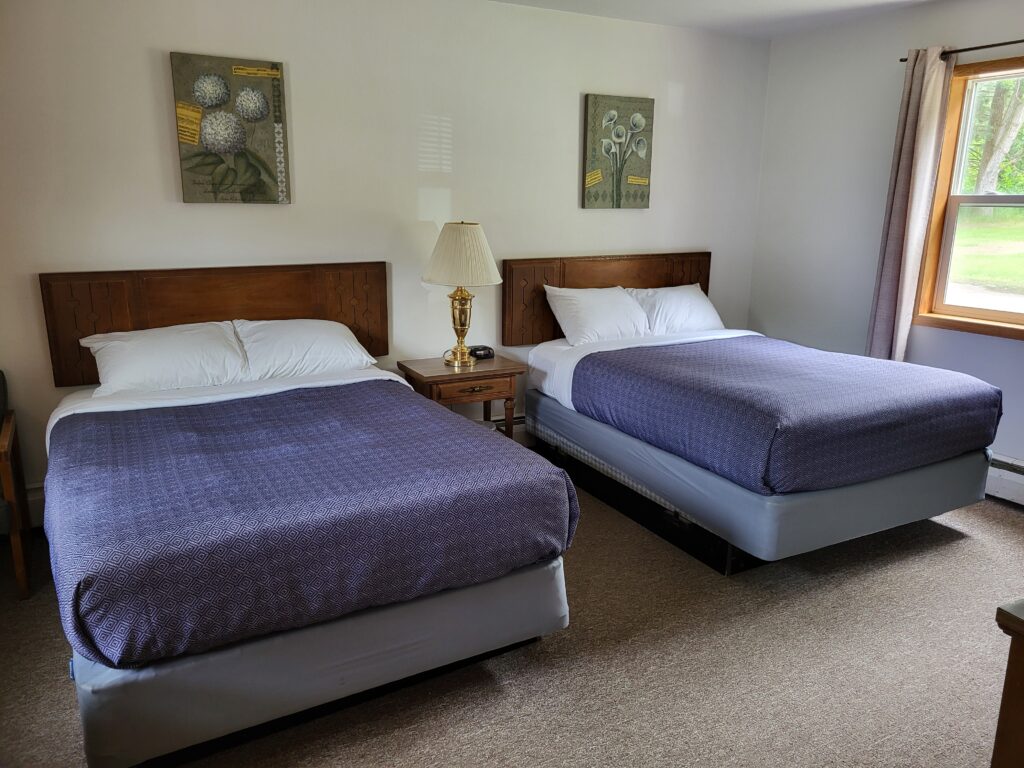 Bright hotel room with two beds